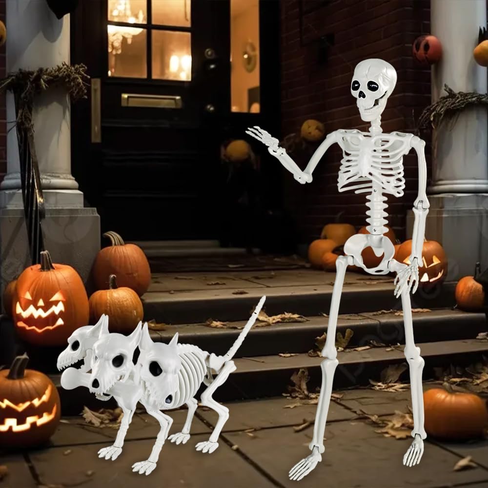 JOLCEEY 1 scheletro mobile per Halloween, 90 cm, realistico, ossa di scheletro umano, articolazioni mobili per tutto il corpo, con scheletro di cane a 3 teste, per oggetti di scena di Halloween