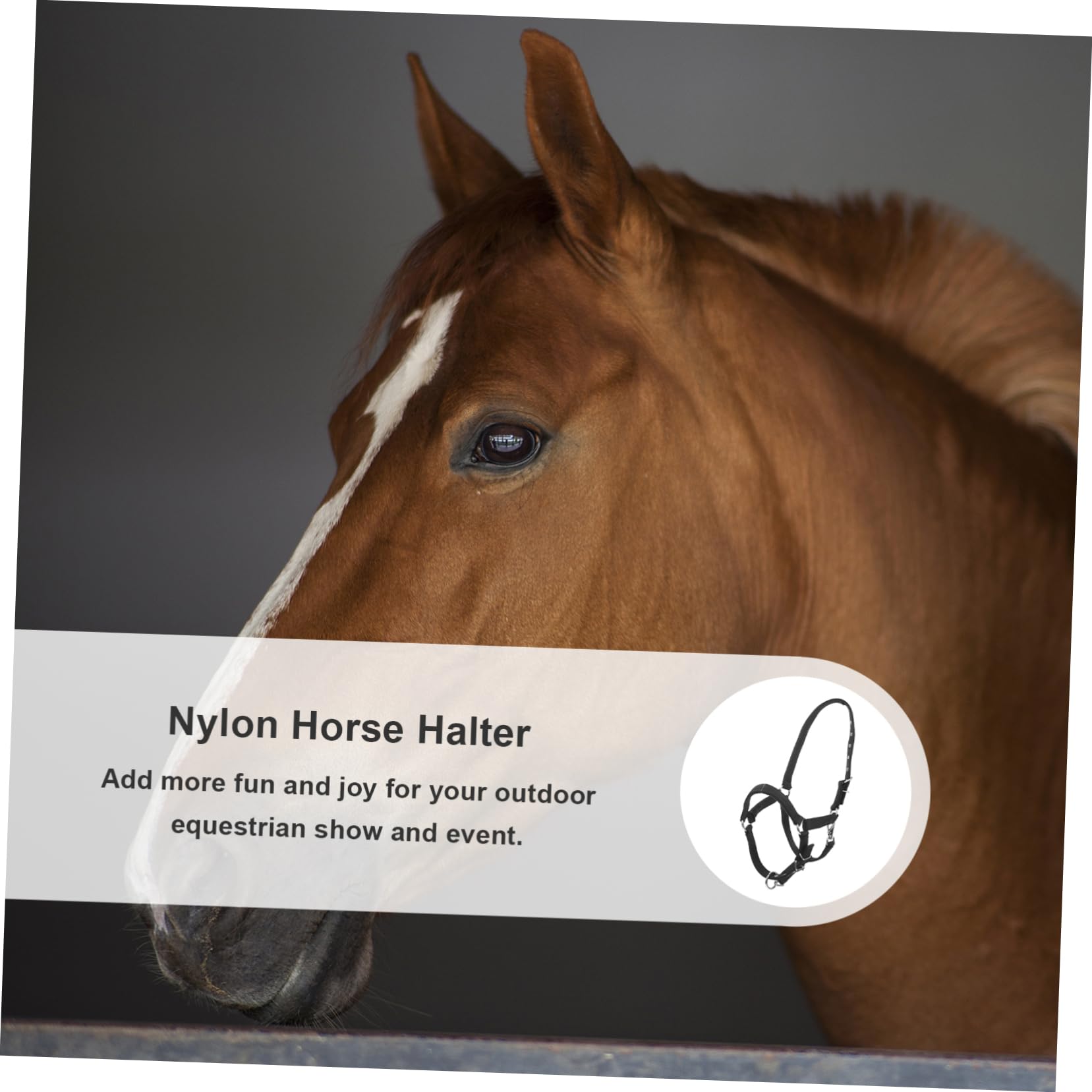BESPORTBLE Cabestro Ajustable de Nylon para Caballos Alta Durabilidad y Cómodo de Llevar, Accesorio Ecuestre Adecuado para Montar y Eventos en Color Negro