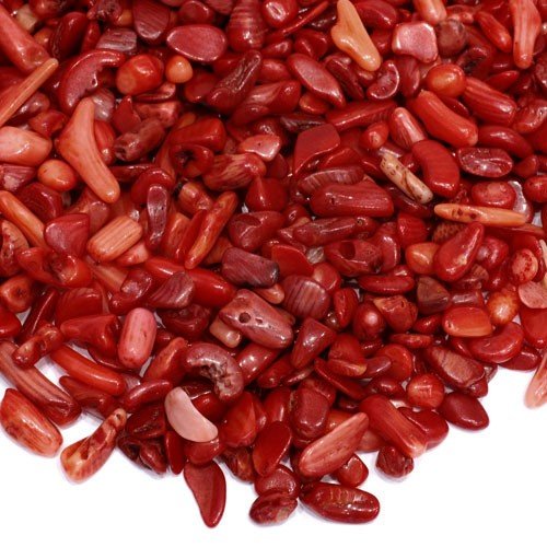 Amazon.co.jp: さざれ石 天然石 台湾産 コーラル 赤珊瑚(染め) 30g A