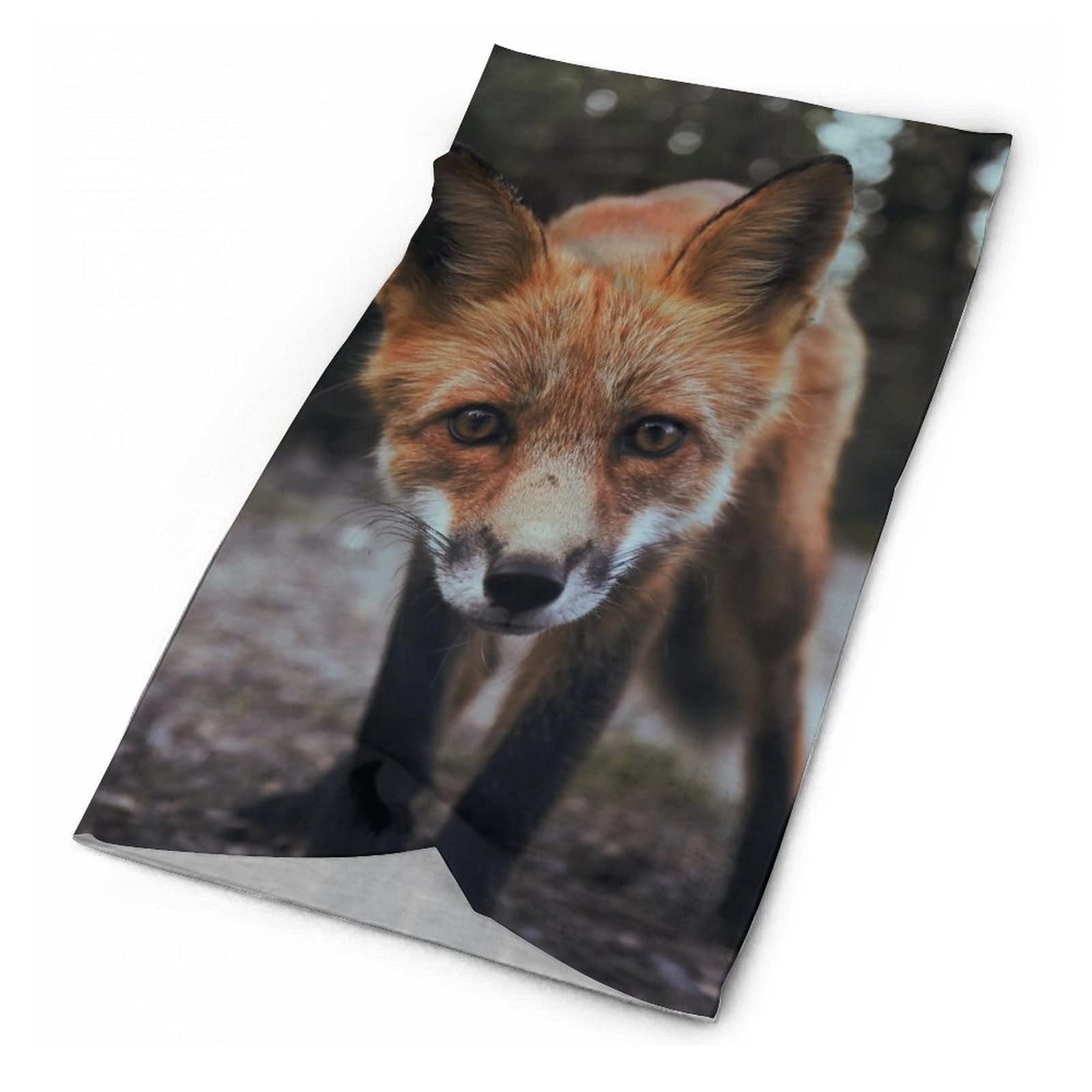 Fox Scarf Mask Wildlife Animal Head Scarf for Adult Face Coverings for Men Gaiter Mask Gator Mask Headwear Bandana Head Wrap Face Scarf for Sports One Size