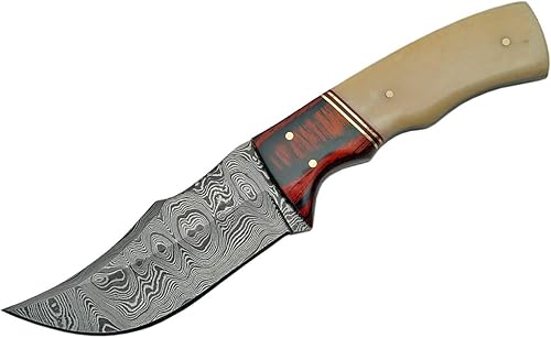 Miniatura 2 de Szco Supplies DM-1078 Cuchillo de Damasco con mango de madera de color hueso/cereza