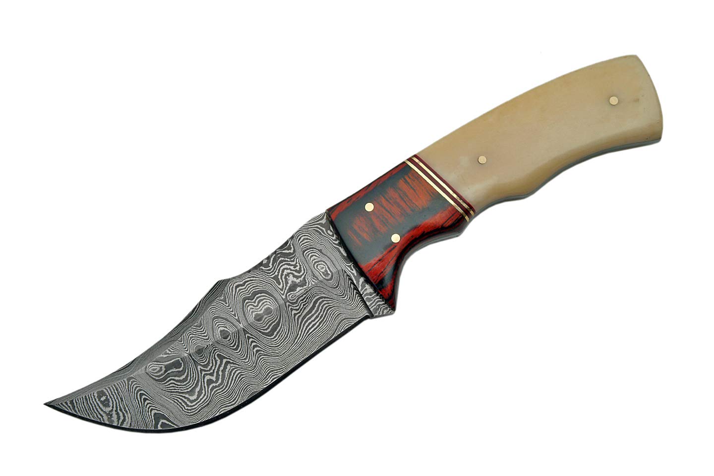 Szco Supplies DM-1078 Damascus Knife with Bone/Cherry Colorwood Handle