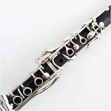 Clarinet with 17 Keys B-Tone Ebony Body Silver-Plated Flaps Clarinet Case and Accessories for Beginners