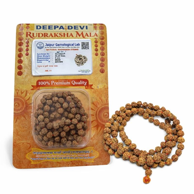 Pure 8 mm Brown Siva Rudraksha Mala 108 + 1 Beads 5 (Punchamuki) with Certificate