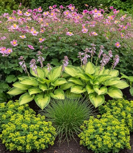 BALDUR Garten Staudenbeet 'Schattengarten',9 Pflanzen, lange Blütezeit & attraktiver Blattschmuck, schattenliebende Stauden, anspruchslos und pflegeleicht, mehrjährig, winterhart, schöner Blickfang