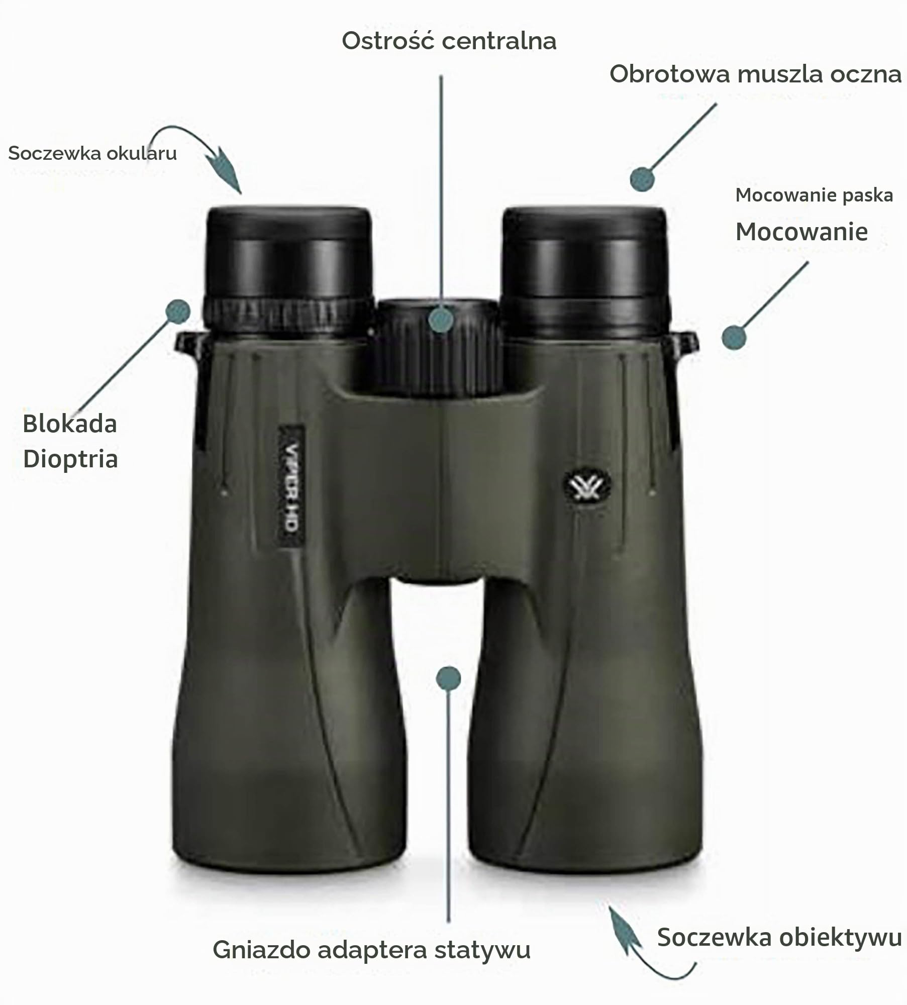 Vortex Viper Hd V201 Lornetka, Zielony, 10x42
