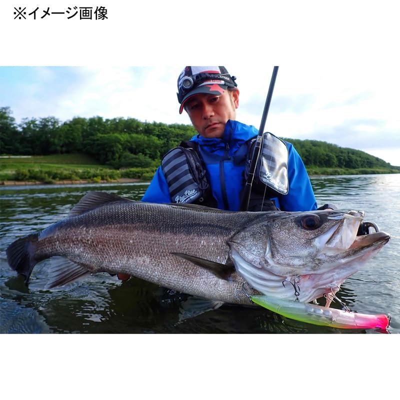 Amazon.co.jp: ブルーブルー AIZER160F アイザー160F ＃07 コノグロー
