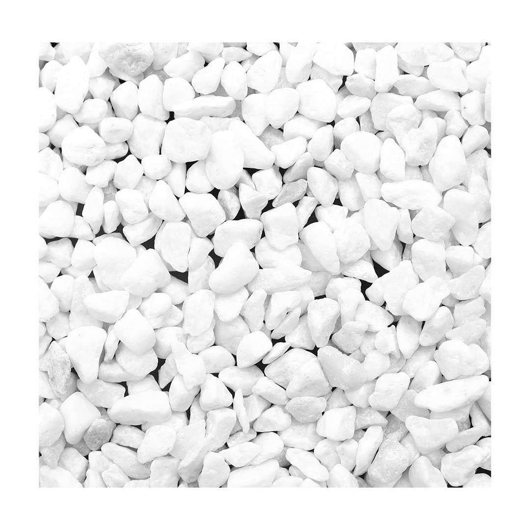 See full amazon price history chart for AquaRocks Premium White Gravel/Stones for Aquarium, Terrarium, Garden Decoration, etc. (White, 2kg) AquaRocks Premium White Gravel/Stones for Aquarium, Terrarium, Garden Decoration, etc. (White, 2kg) (B09PJLB9KH) Amazon Price History, Amazon Price Tracker