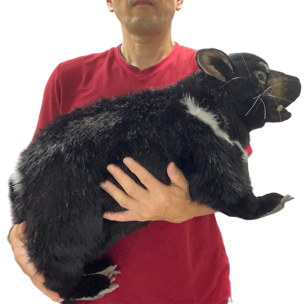 Amazon.co.jp: タスマニアデビル No.4383 : おもちゃ