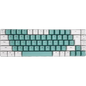 Kabelgebundene Gaming-Tastatur mit 68 Tasten Kompaktes Mechanisches Feeling mit 60% Layout RGB-Hintergrundbeleuchtung Einstellbarer Beleuchtung und Anti-Ghosting f r PC Wei gr ner