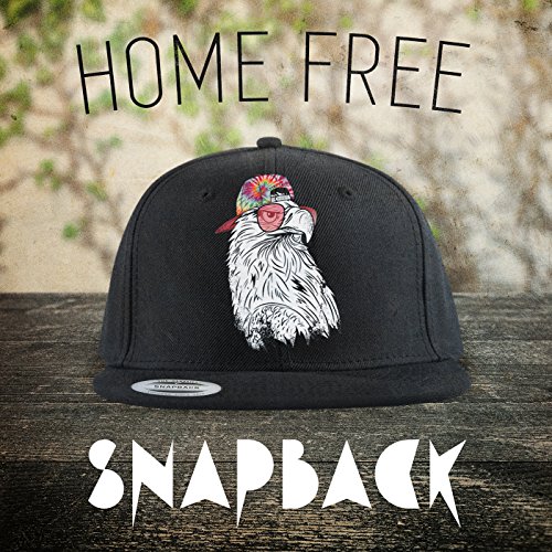 Snapback song by Home Free from Snapback on Amazon Music