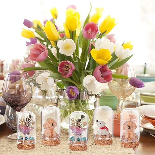 Miniatura 6 de BENECREAT 20 mini botellas de vidrio con base de corcho, cúpula de exhibición de vidrio de 2 x 1.2 pulgadas con base de corcho para almacenamiento