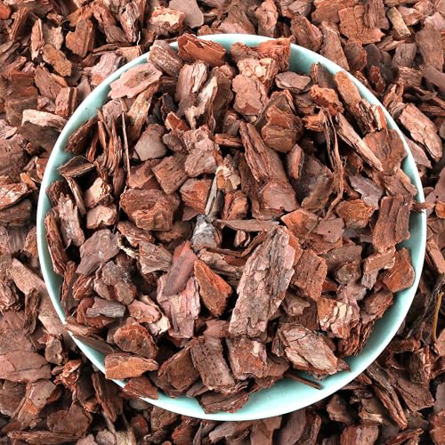 AVALUTION Corteza de orquídea para macetas, corteza de orquídea orgánica de 9 cuartos para plantas, virutas de madera de corteza de pino natural para mantillo de plantas de interior, desarrollo de