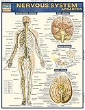 Nervous System Advanced QuickStudy Laminated Reference Guide (Quick Study Academic)
