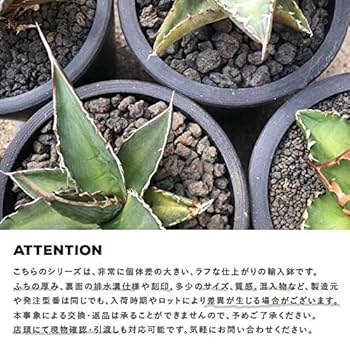 Amazon.co.jp: BLACK PLASTIC POT【BOWL】ボウルタイプ 黒 プラ