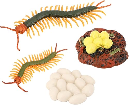 Ciclo de vida de 4 etapas de A, figura de juguete de plástico -