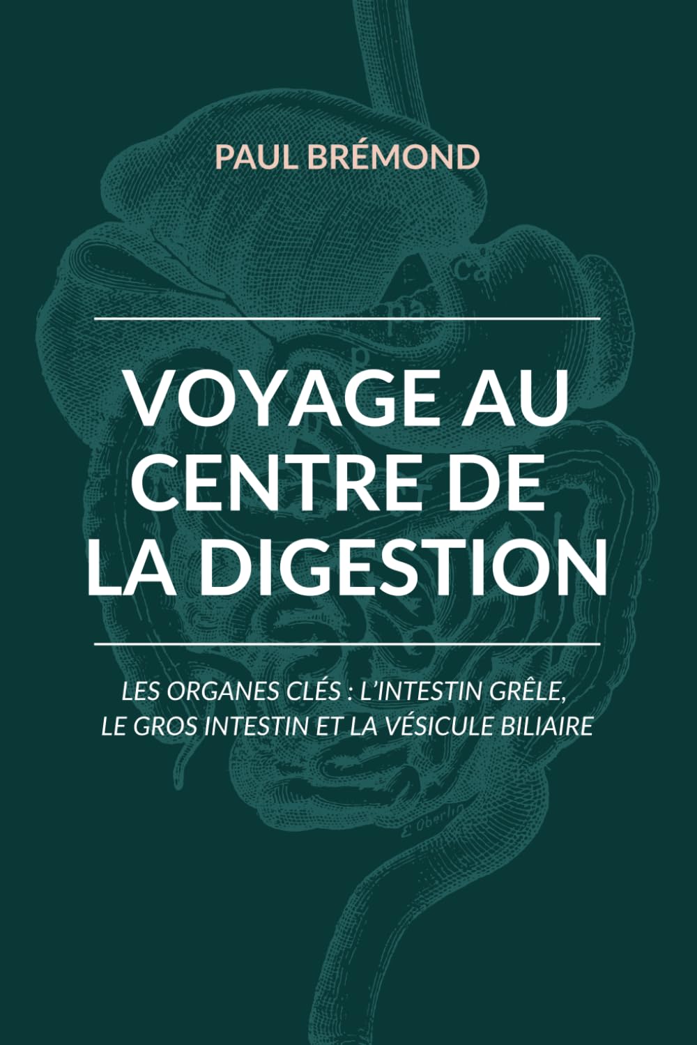 Voyage au centre de la digestion: Les organes clés : l’intestin grêle, le gros intestin et la vésicule biliaire