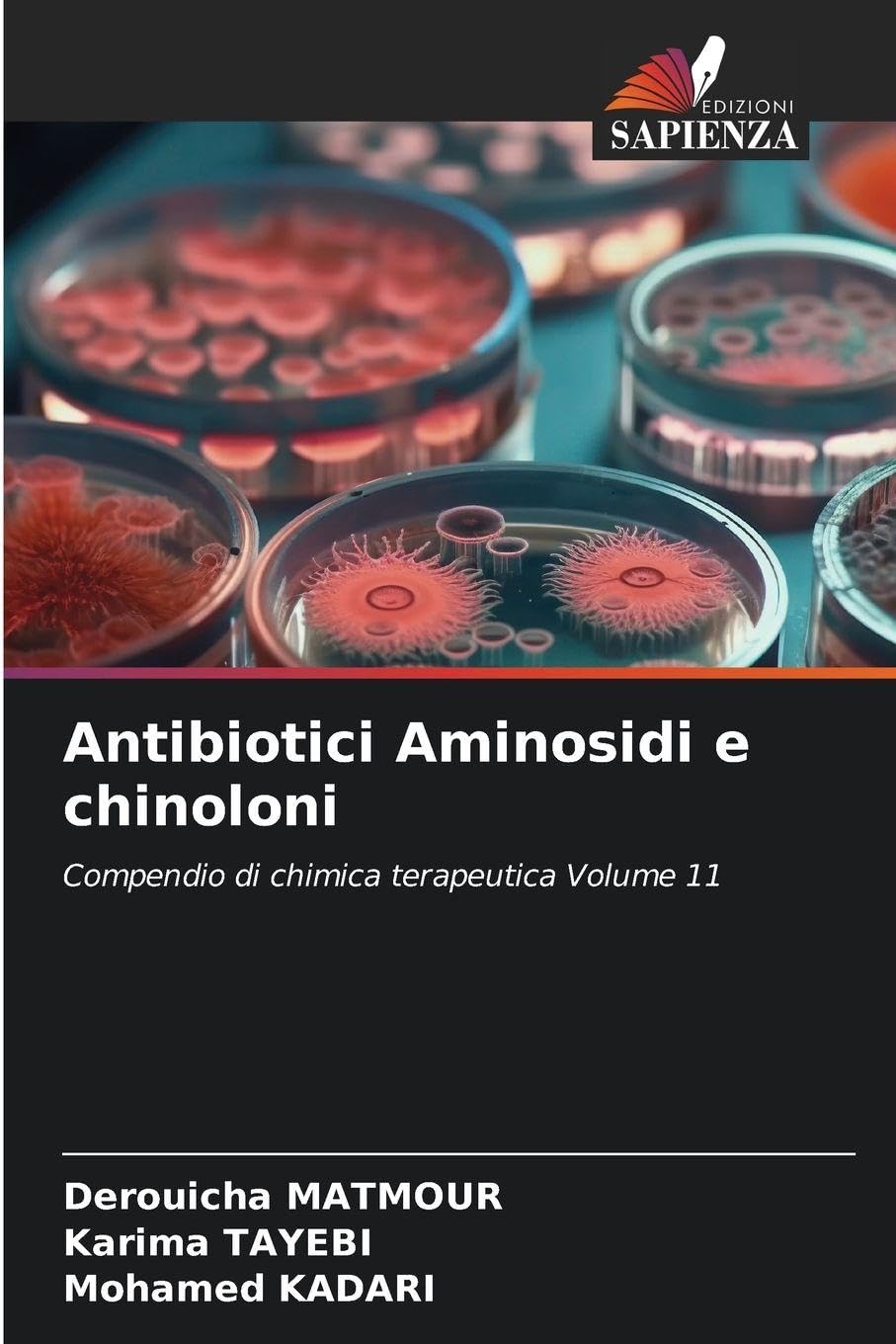 Antibiotici Aminosidi e chinoloni: Compendio di chimica terapeutica Volume 11