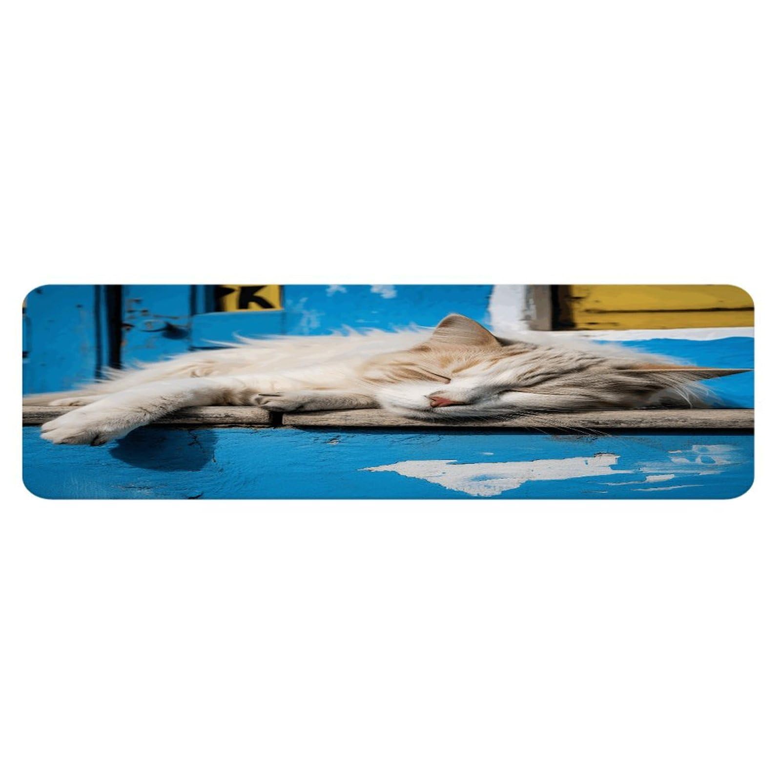 Alfombra de cocina lavable y suave Sleeping Little Cat de 45 x 152 cm para oficina