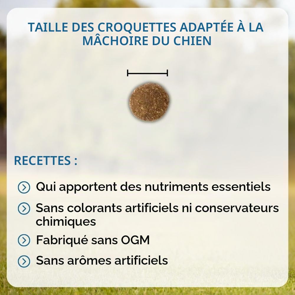 NUTRIVET - Premium Master Maintenance - Croquettes pour Chien Adulte à Activité Normale - Poulet & Riz - 15 kg