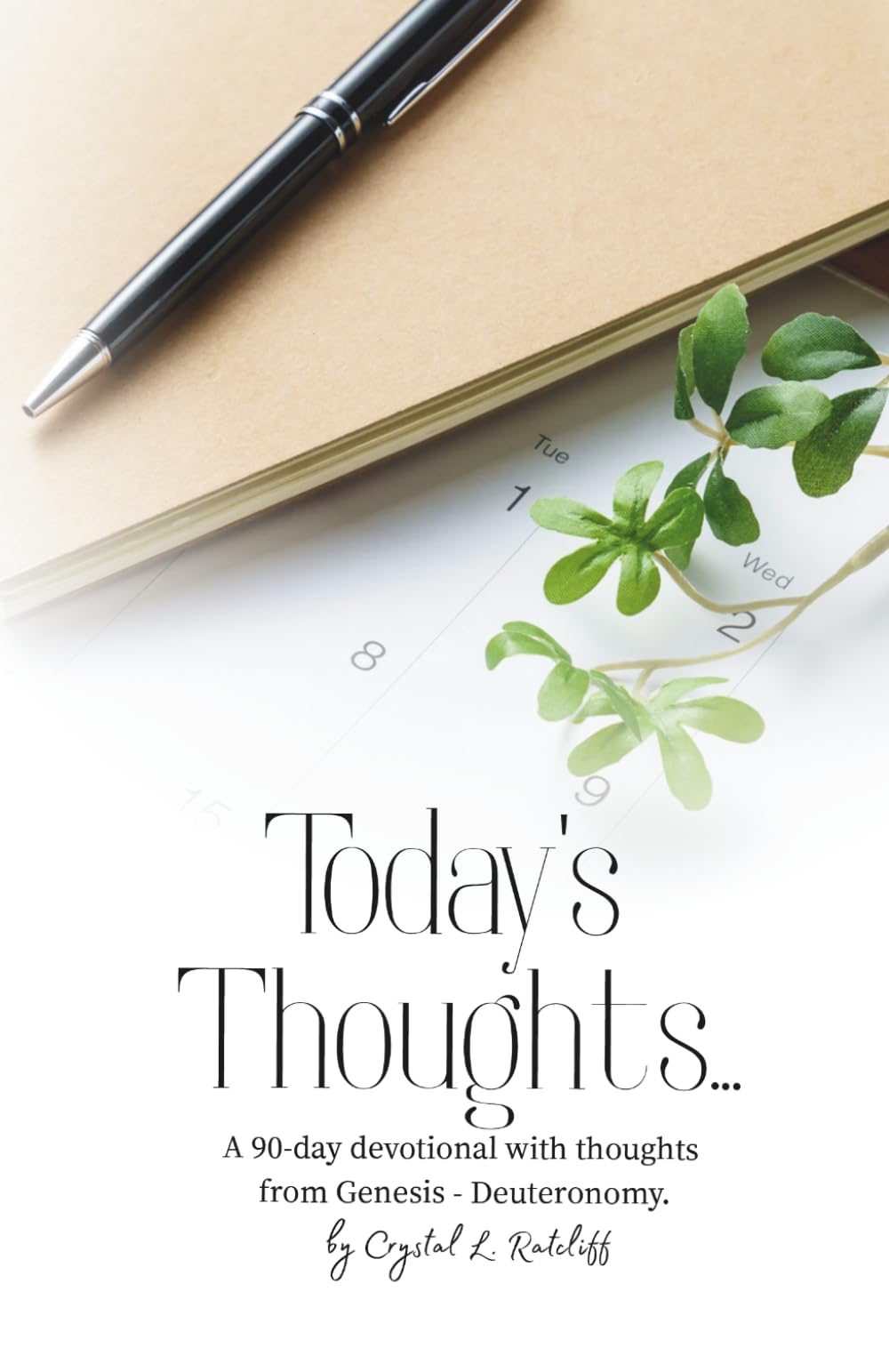 Today's Thoughts...: A 90-Day Devotional with Thoughts from Genesis - Deuteronomy: 1