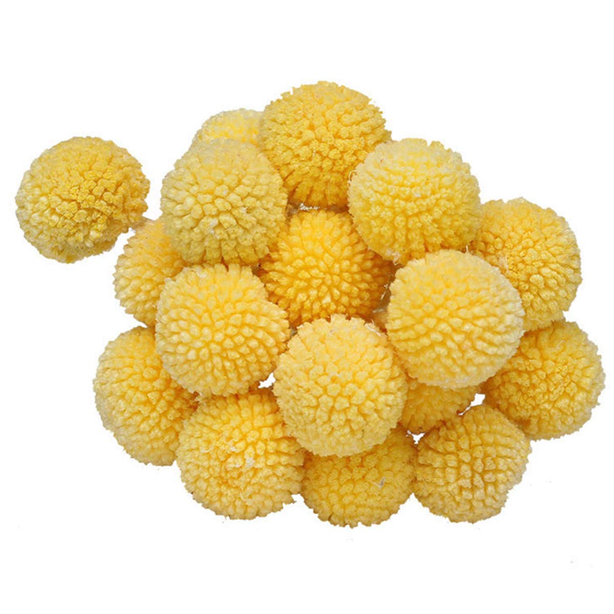 INVISIKAYAK Craspedia globosa Material Flower Immortal Eternal Flowers Gift (lemon yellow, 20pcs)