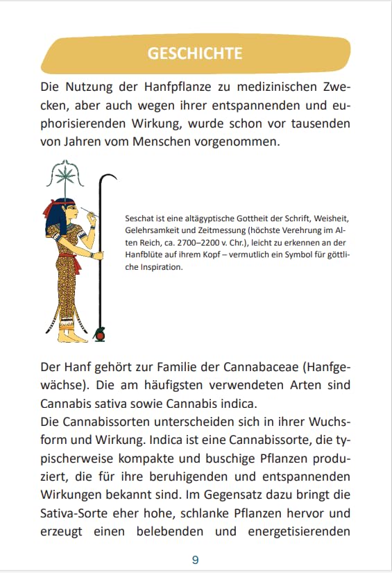 CBD: Medizinisches Cannabis (Therapeutika: Serie)