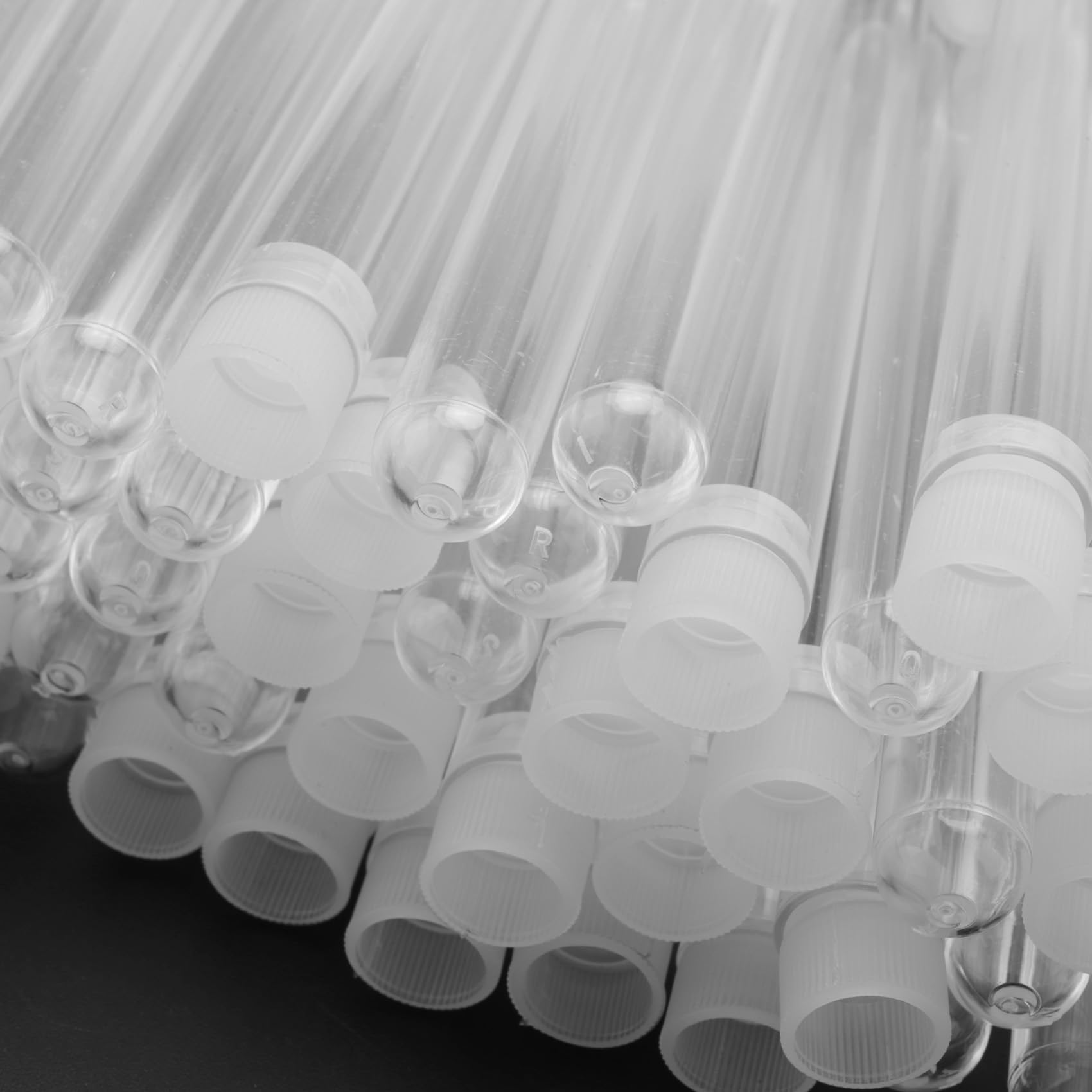 Fiale di Provette nel Plastica Trasparente da Laboratorio Trasparenti da 1000 Pezzi 12X1000Mm con Tappi Un Pressione Forniture per Laboratorio Scolastico