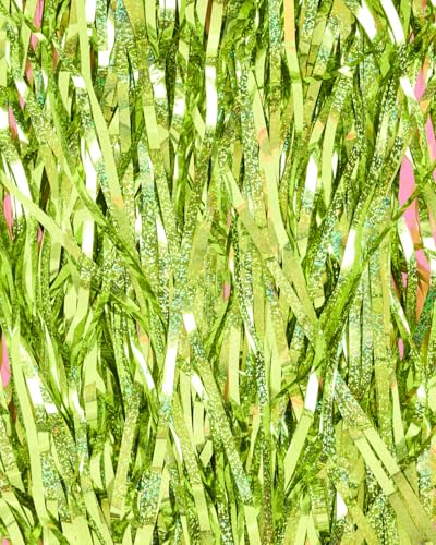 Image of xo, Fetti 2pk Lime Green Foil Curtain | Last Pickle Bachelorette, Margarita | Party Decorations, Party Supplies, Birthday Photo Booth, Margarita Bach Decor, Bridal Shower Backdrop