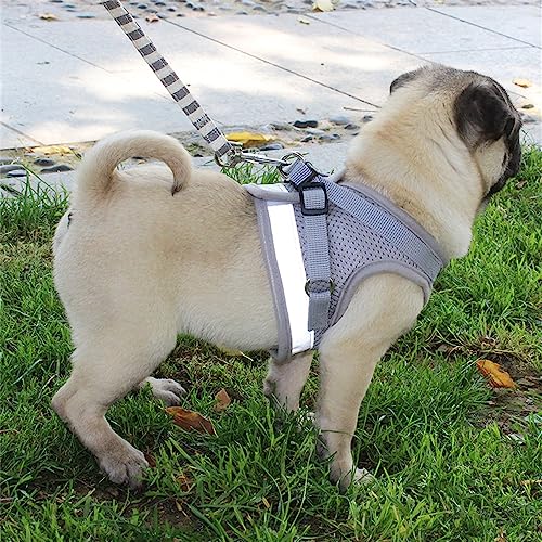 LOS ANDES Hundegeschirr & Katzengeschirr, Reflektierend, Weich Gepolstert, Air-Mesh Brustgeschirr für Kleine Hunde & Katzen, XS (Brust: 24-27cm), Grau, Gestreift