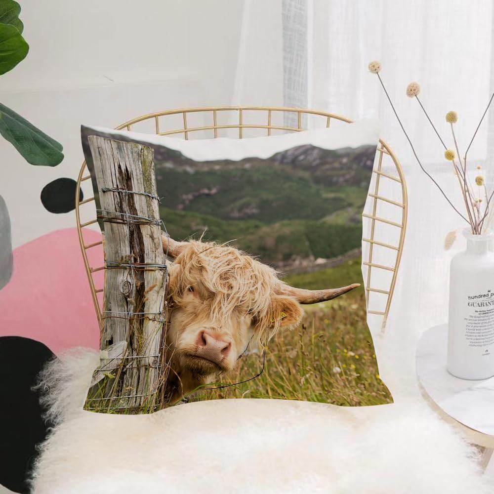 HYOSXW Cushion Cover,Throw Pillow Case Home Decorative for Living Room Bedroom Sofa Chair 16X16 Inch,ox, Scottish Highland cow, pastoral style decoration,Pillowcase 40X40cm