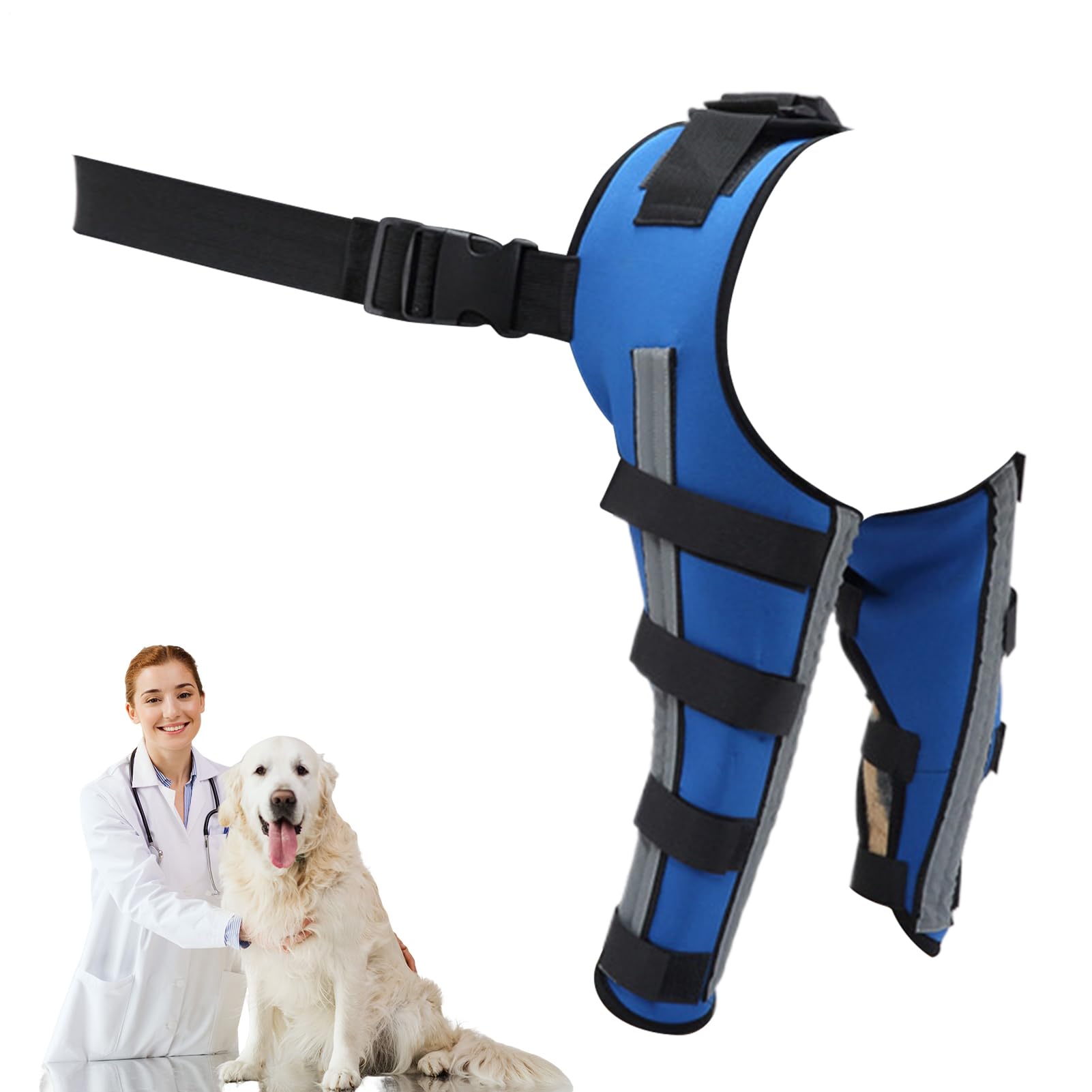 Bandage arrière pour chien : attelle de jambe stabilisatrice de genou