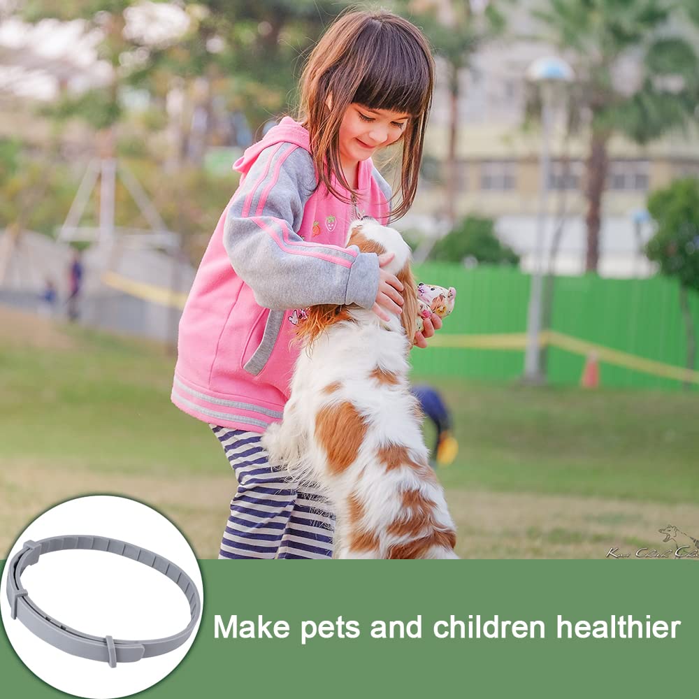 aiMaKE Tamaño Ajustable Collar Antiparasitos para Perro, Collar Antipulgas, Collarcontra Pulgas Garrapatas y Mosquitos para Perros y Gatos, Duracion 8 Meses -63cm