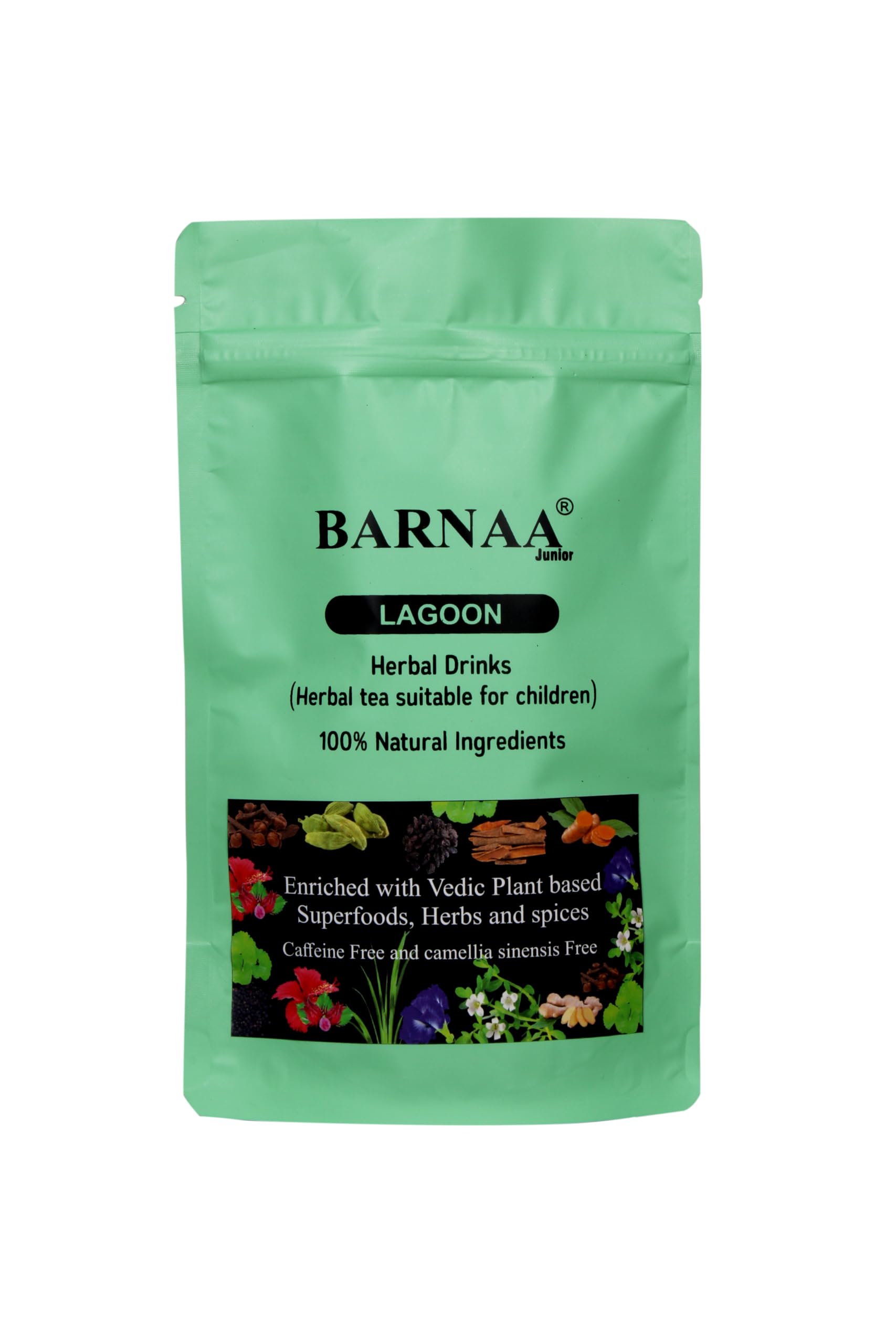 BARNAA Junior LAGOON || BRAHMI || FOR COGNITIVE HEALTH, STUDY, FOCUS, MEMORY || CAFFEINE FREE||ANTIOXIDANT || ZERO ADDED SUGAR || CHILDREN’S TEA || GREEN ZIP POUCH (B0CZXL6QJK) Amazon Price History, Amazon Price Tracker