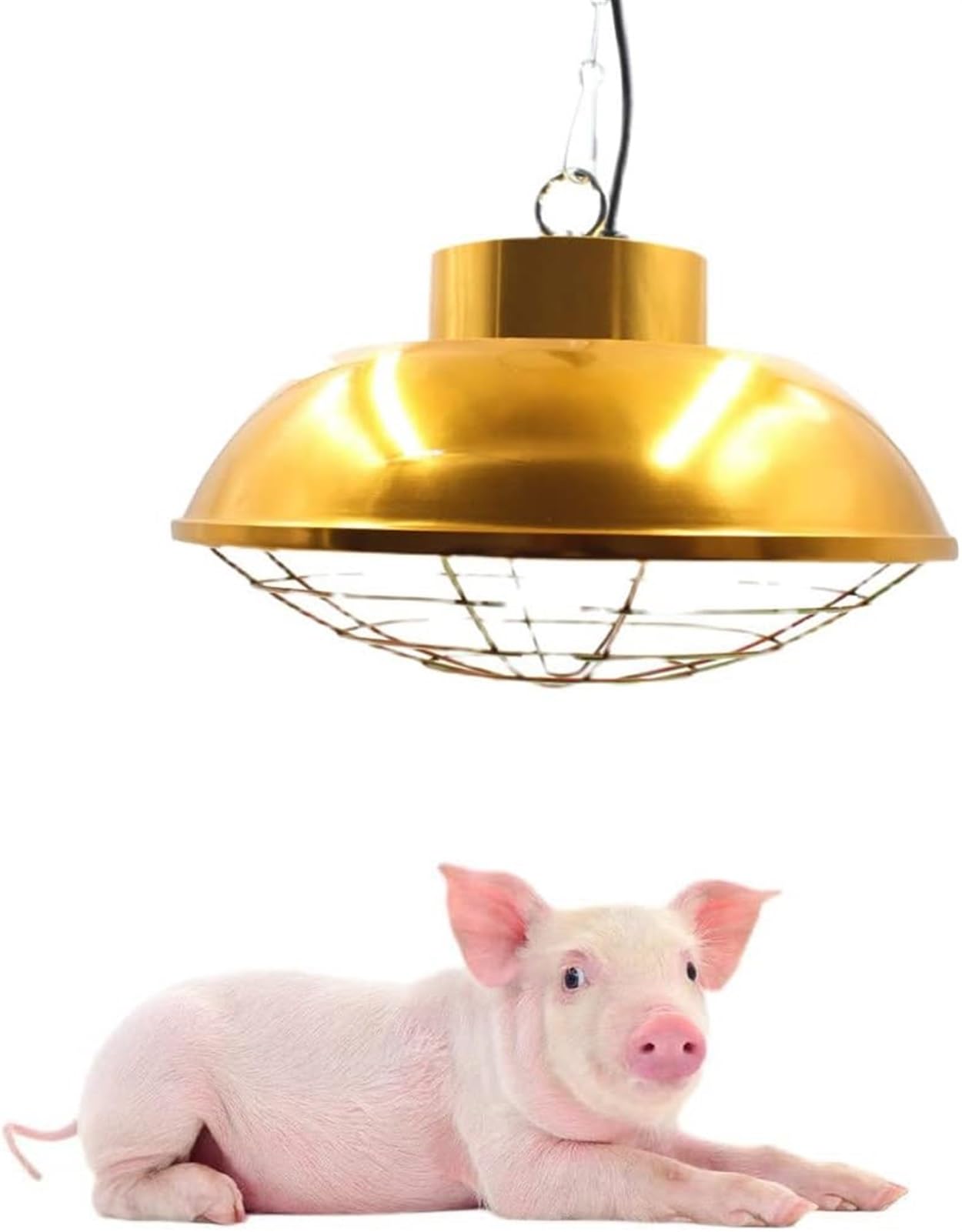 Lampada riscaldante for prendere il sole, Lampada riscaldante for pulcini, Lampada riscaldante for allevatrice di polli da 200W-400W con termostati e lampadina for pulcini Rettile Cuccioli Gattini Agn