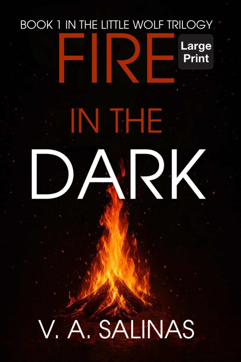 Fire in the Dark (LARGE PRINT): 1 (The Little Wolf Trilogy (LARGE PRINT EDITIONS))