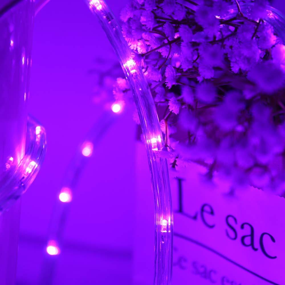 Snapklik.com : HuiZhen 100 Feet 720 LED Rope Lights,2-Wire Low Voltage ...