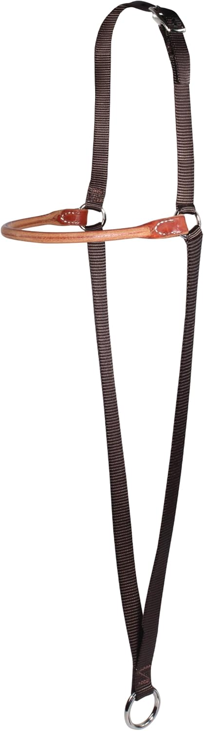 Professional's Choice Harness Leather/Web Combo War Bonnet