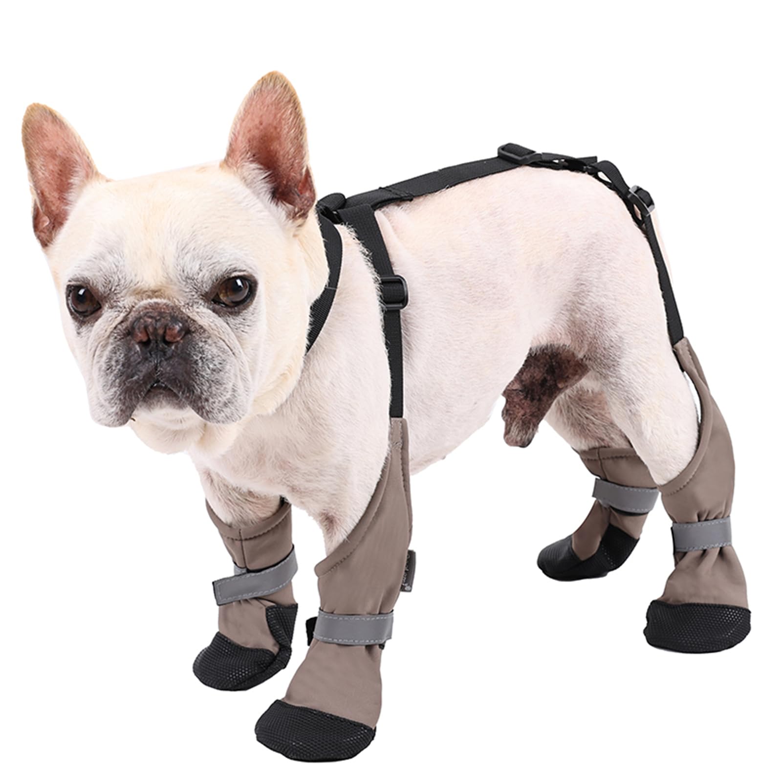 BT Bear Dog Shoes,Waterproof Anti Dirty Anti Slip Warm Dogs Four Leg Pants Boots Dog Paw Protector for Small Dogs Medium Dogs Outdoor Walking Hiking Bootie,M