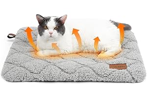 Heated Cat Bed: Ultimate Warmth and Comfort for Your Feline Friends