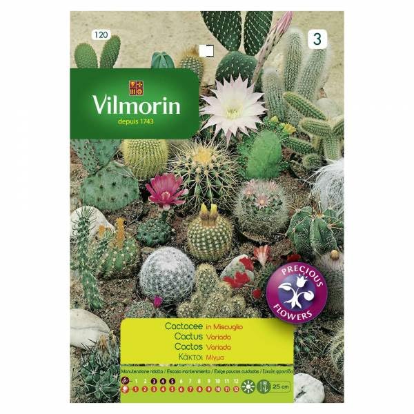 Prodotto Vilmorin Kit 5 bustine Semi CACTACEE IN MISCUGLIO 120