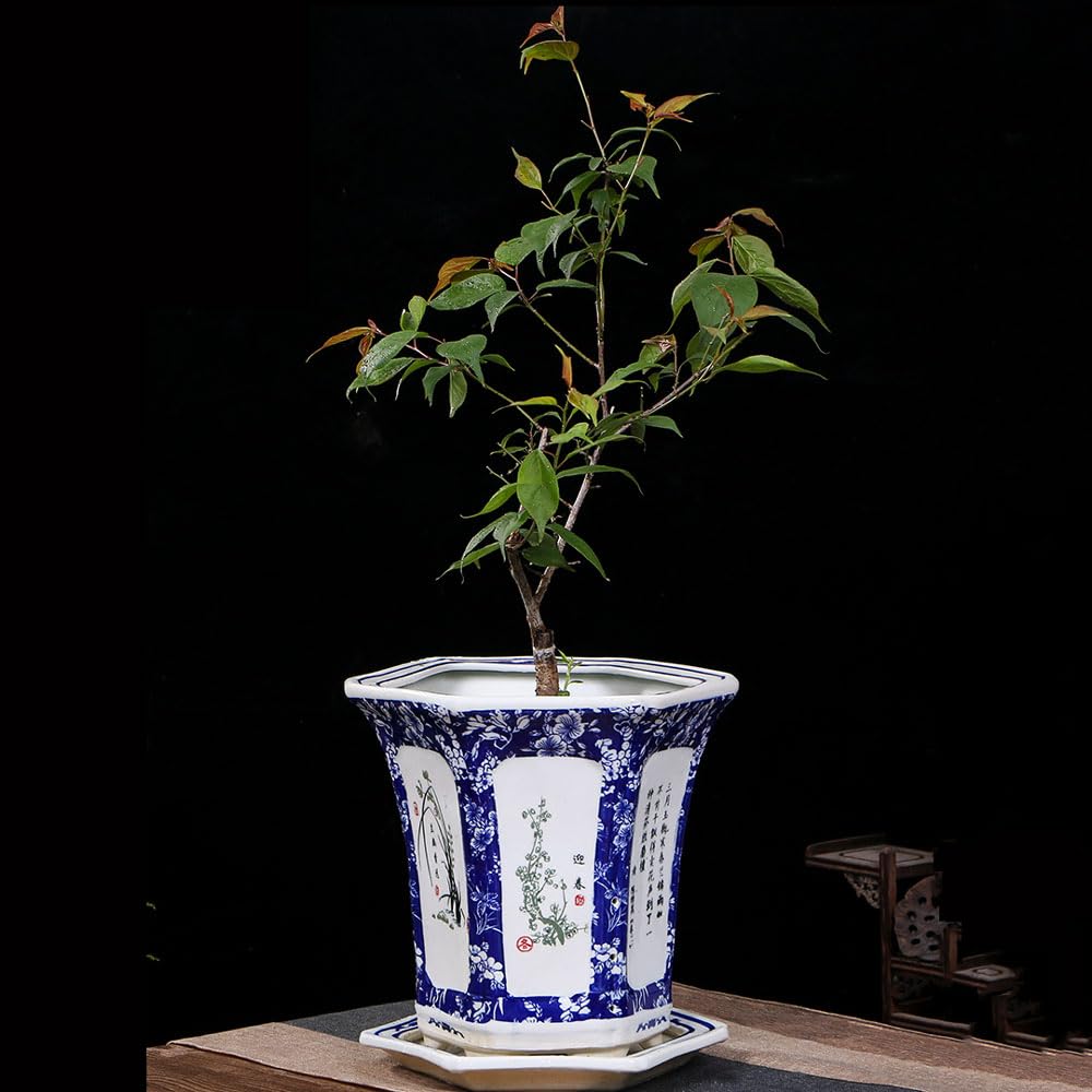 DFGHNBVC Blue And White Porcelain Flowerpot Succulent Plants Live Mini Succulent Plants Asian Decor Ceramic Planter Pot Succulent Gardening Pot Chinese Ceramic Planter Plant Pots East,25 * 26cm