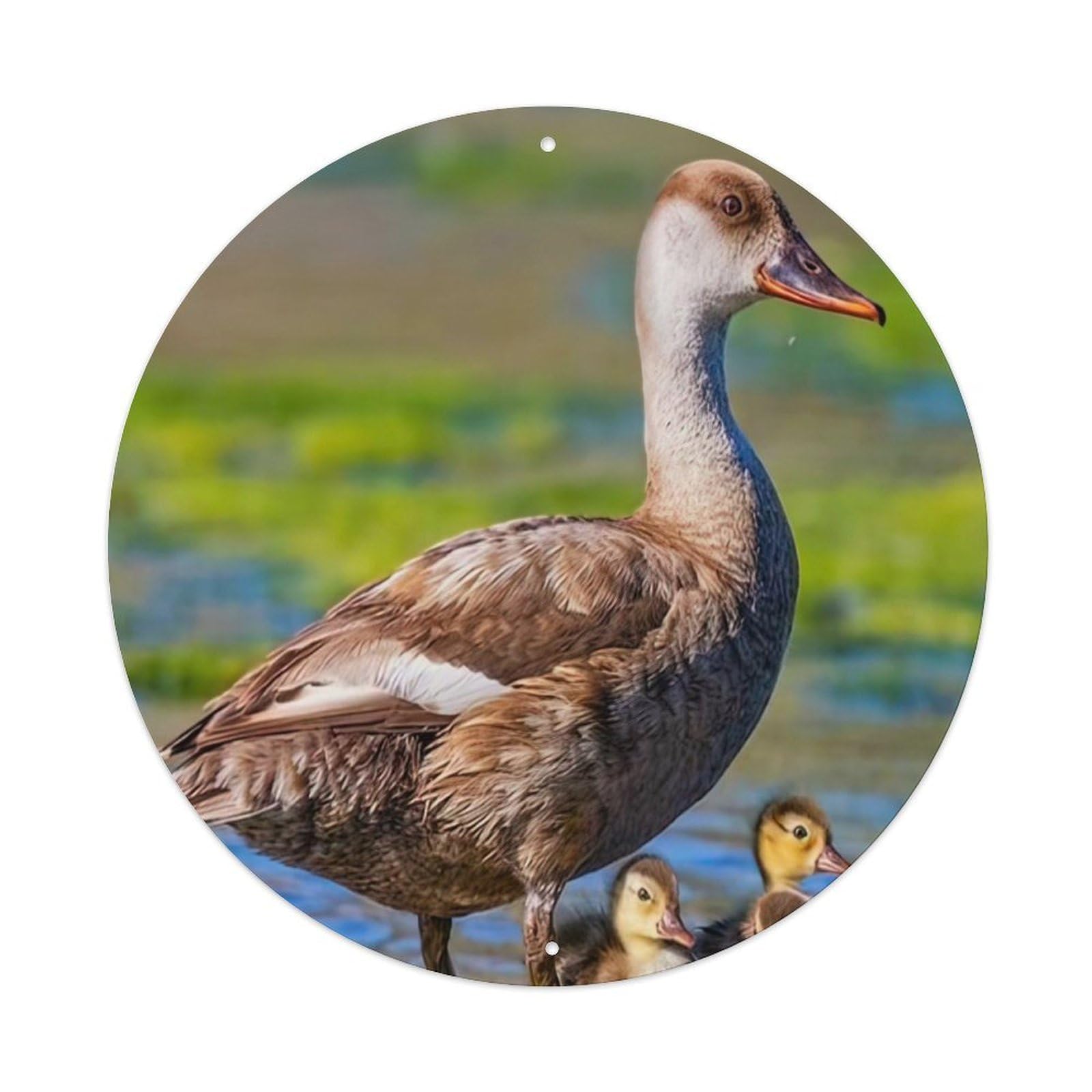 Animal Artwork Ducks And Ducklings Vintage Metal Tin Sign Plaque Wall Decor for Cafe, Club Bar, Office, Garden Metal Poster 8x8Inch
