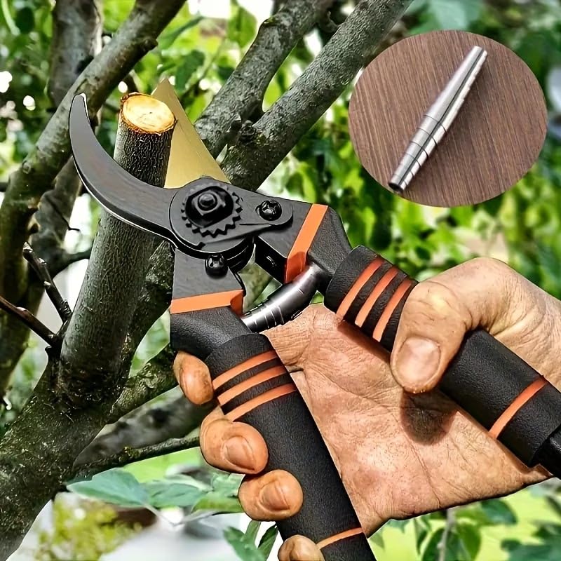 Image of Daccfy 8 Inch Gardening Scissors -Pack of 1 | Plants Scissor | Garden Shear Tree Branch Pruner | Gardening Cutter Tool | Plant Cutter for Home Garden | Wood Branch Trimmer