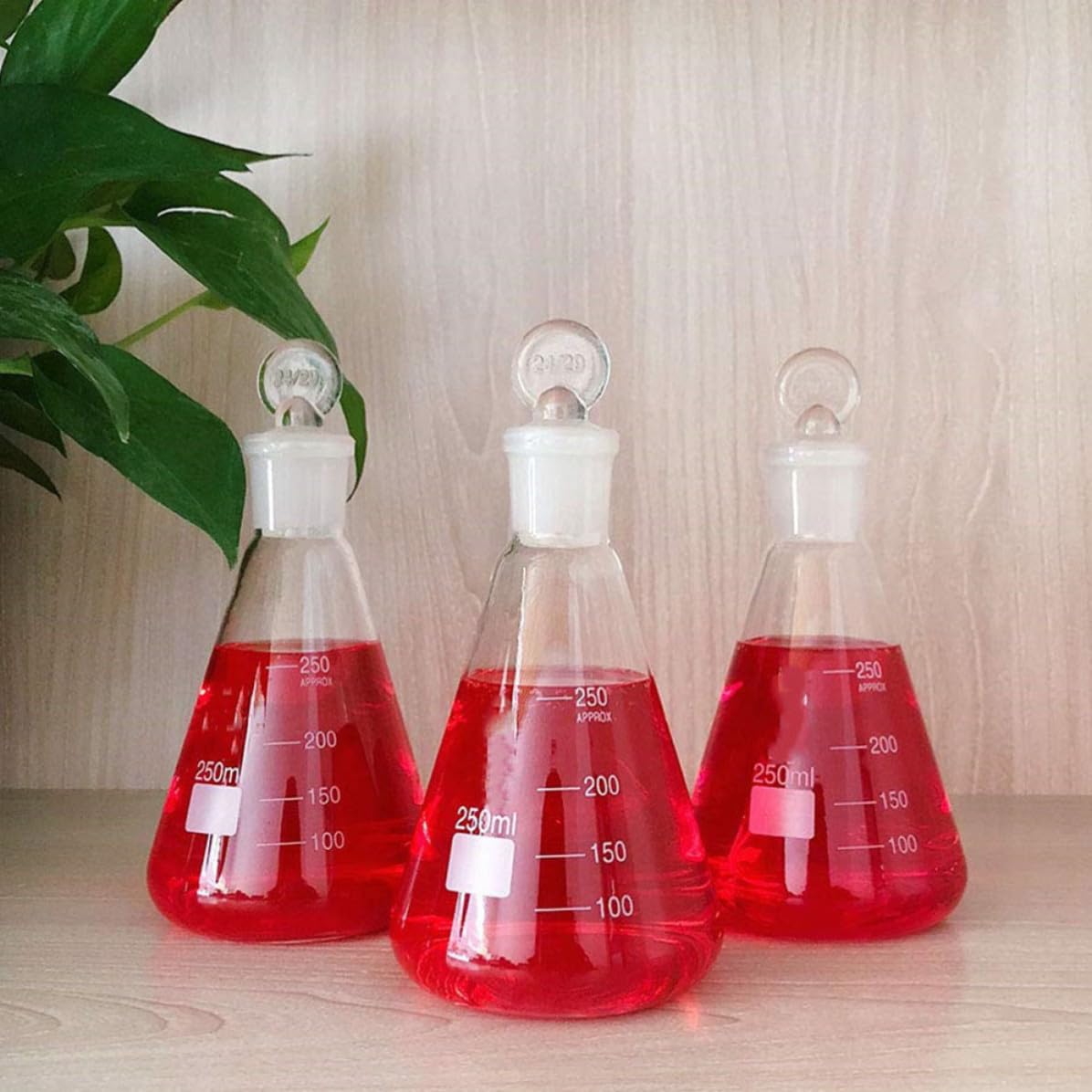 Ipetboom Set da 3 Beute Coniche da 250ml in Vetro con Tappo, con Scala Graduata Chiara, per Esperimenti Scolastici e Forniture di Laboratorio per Studenti