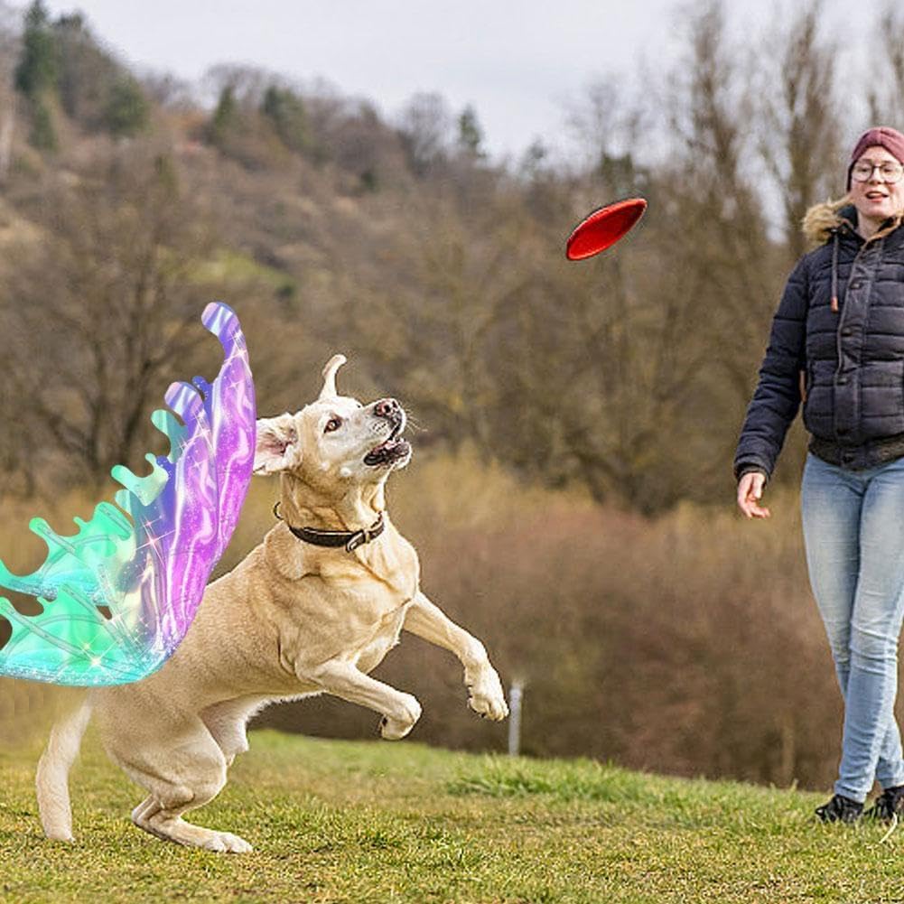 Ali di farfalla a LED per cani, ali incandescenti con luci a LED e musica, elfo con musica per bambini, ali luminose