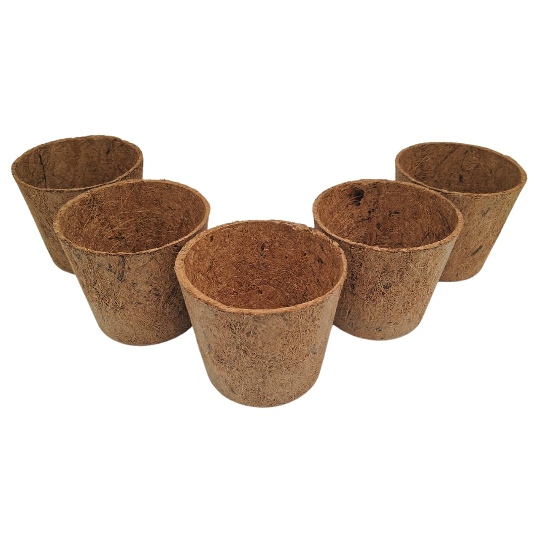 Greglo Coconut Coir Pots for Plants (Pack of 5) Size 10 cm | Natural Pot for Indoor Plants (B0DB8NXHRR) Amazon Price History, Amazon Price Tracker