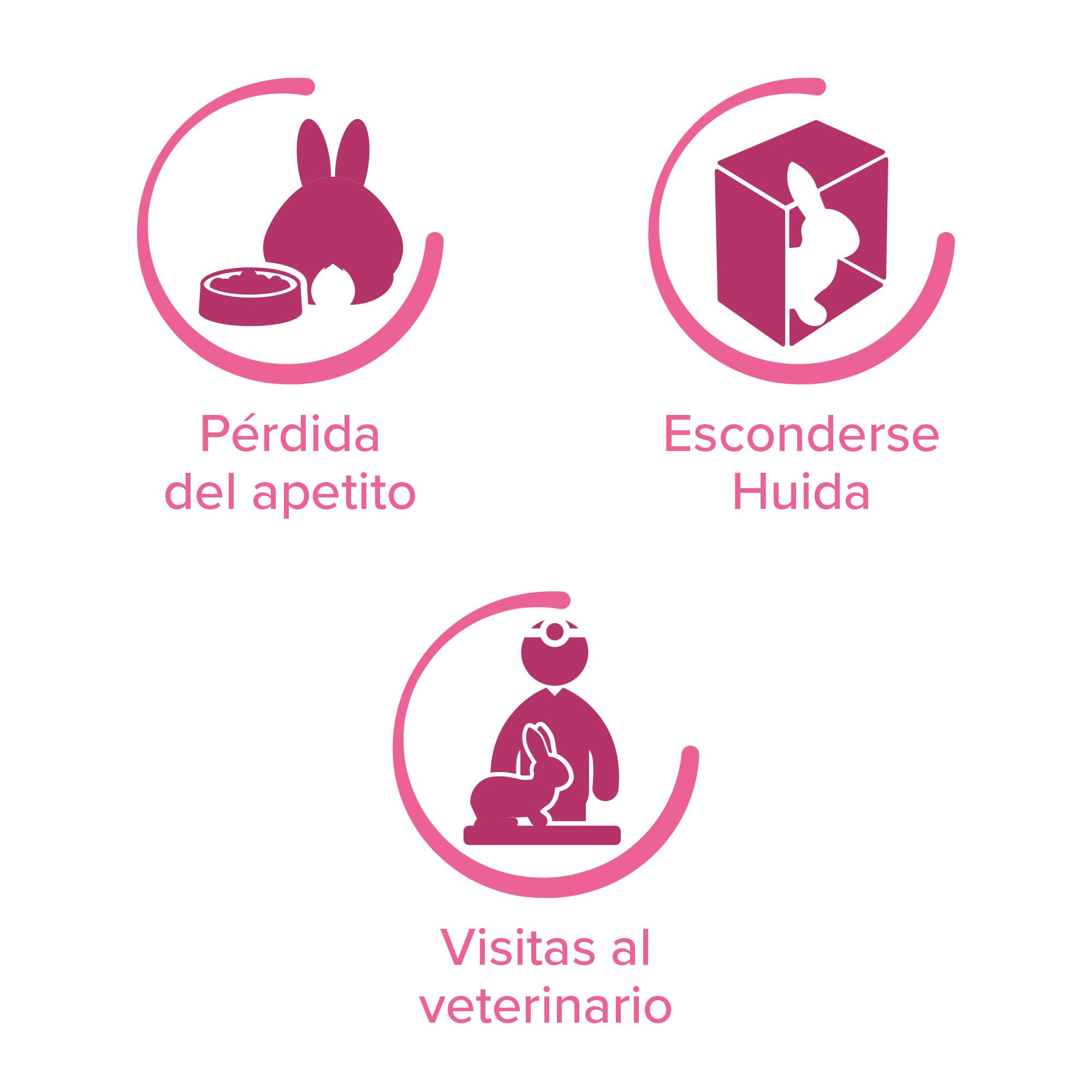 Beaphar - RabbitComfort® Spray calmante - Riduce l'ansia e lo stress in aree mirate - Per l'uso in casa o in gabbie - Azione rapida - Inizia a lavorare in 15 minuti - 30ml