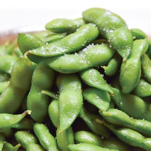 [令和8年産先行予約] だだちゃ豆(早生) 1.5kg (500g×3袋) だだちゃ喜左衛門株式会社