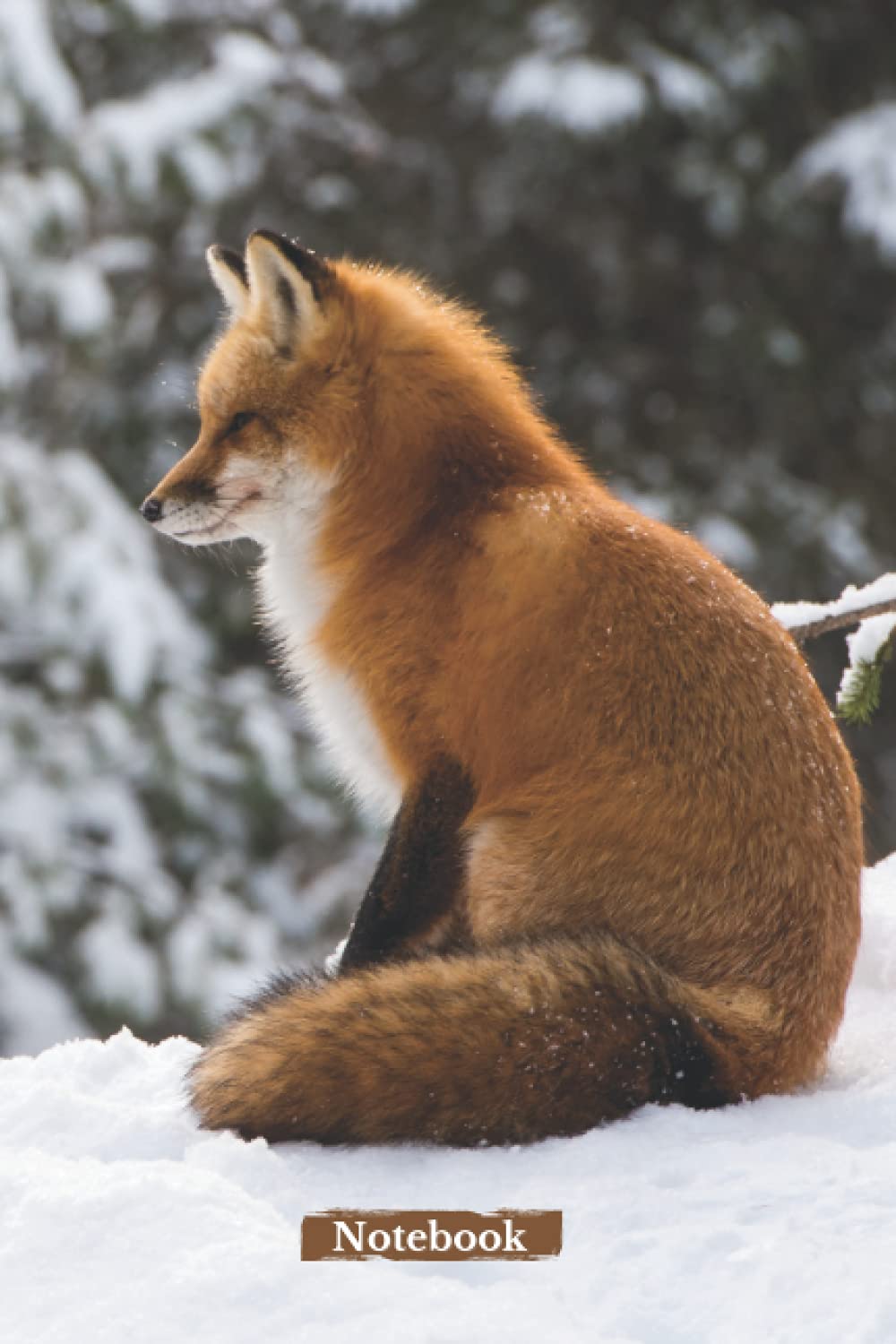 Notebook: Fox and the snow – Fancy lined notebook – 108 pages – 6x9 – Gift idea for wilderness lover – Beautiful photo